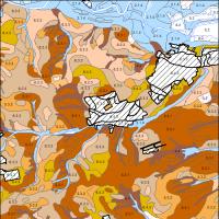 overview